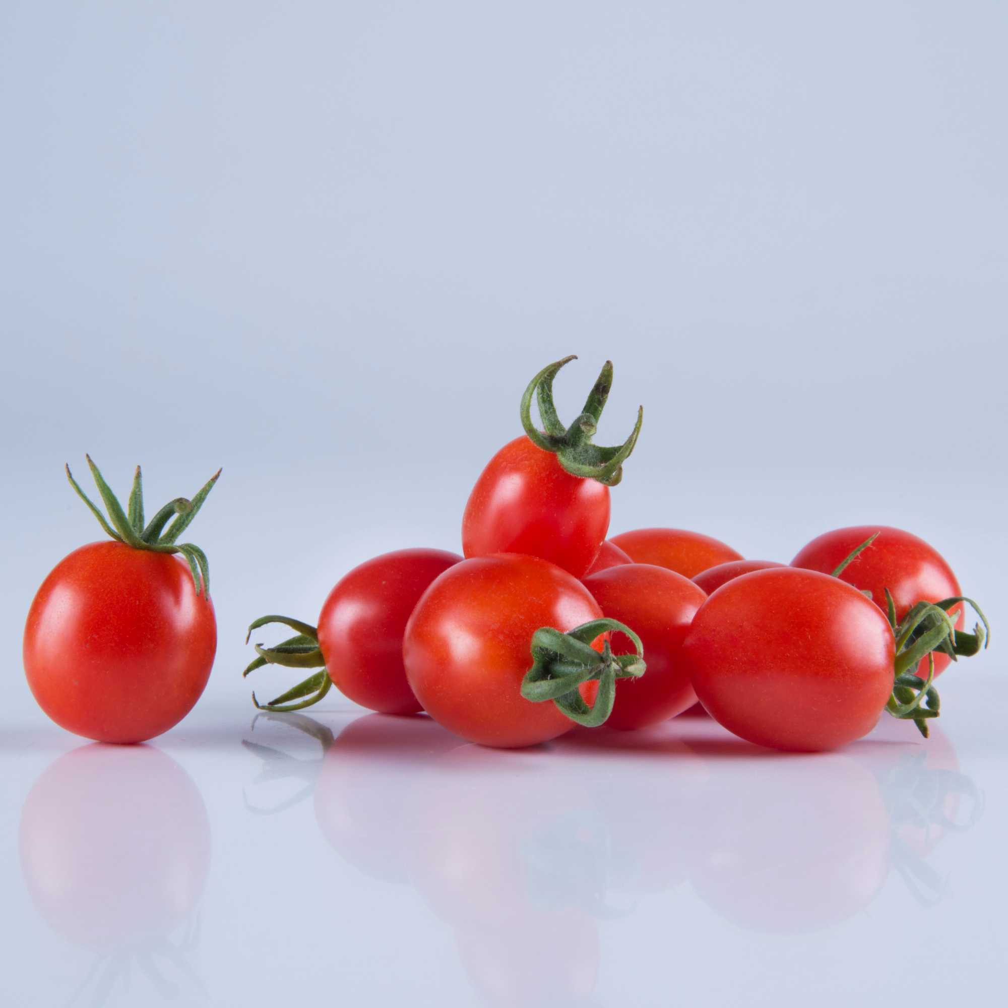 Tomate Mini Le Petit  - Loja Feltrin