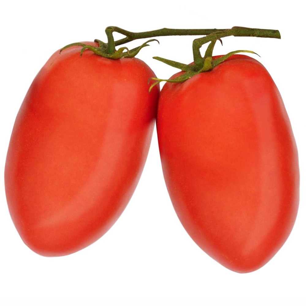Tomate Tróia