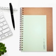 Coleção Kraft - CashBook| Planner Financeiro