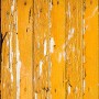Papel de parede madeira de demolição amarela