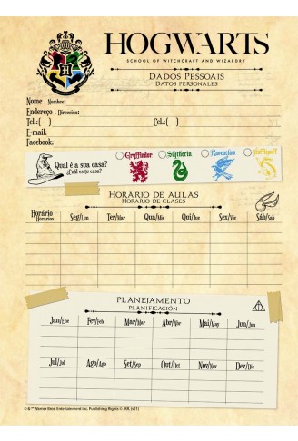 Caderno Universitário Capa Dura 15X1 300FL Seeker Harry Potter - Jandaia