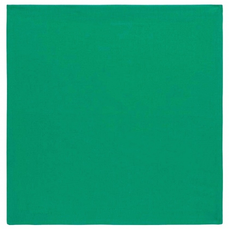 Guardanapo de tecido verde 45x45