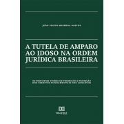 A tutela de amparo ao idoso na ordem jurídica brasileira: os principais atores de promoção e proteção dos direitos fundamentais dos longevos