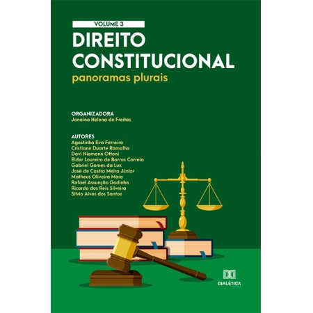 Direito Constitucional - panoramas plurais: Volume 3