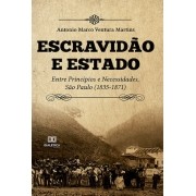 Escravidão e estado: entre princípios e necessidades, São Paulo (1835-1871)