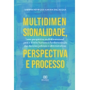 Multidimensionalidade, perspectiva e processo: uma perspectiva multidimensional para o direito humano à fundamentação das decisões judiciais e administrativas