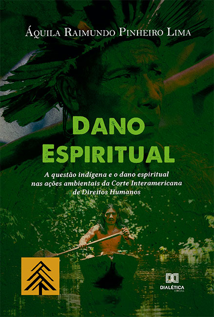 Dano Espiritual: a questão indígena e o dano espiritual nas ações ambientais da Corte Interamericana de Direitos Humanos