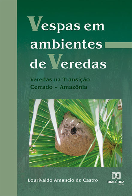 Vespas em ambientes de Veredas: Veredas na Transição Cerrado - Amazônia