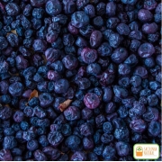 Blueberry Desidratado