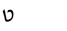 TDS Couros