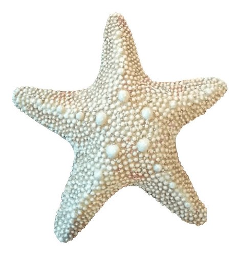 Estrela Marinha Enfeites Casa De Praia Resina Mar 22cm