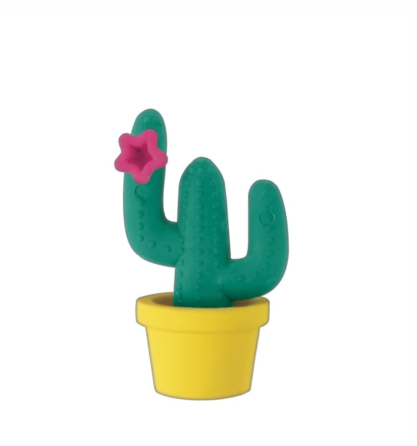 Borracha Cactus