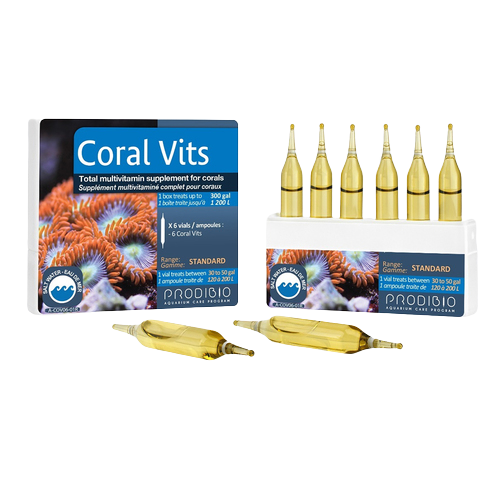 Coral Vits 06 Ampolas