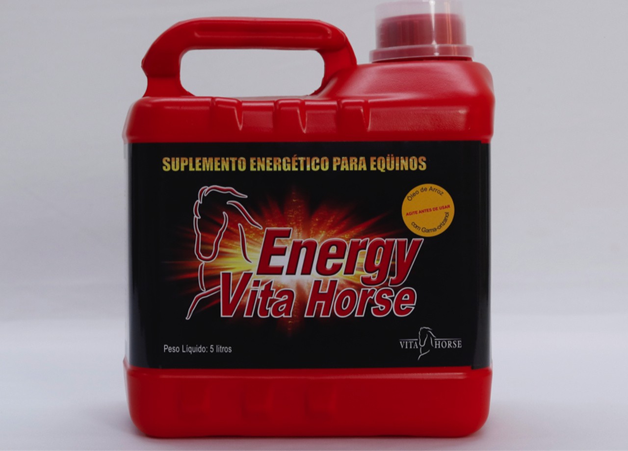 ENERGY HORSE