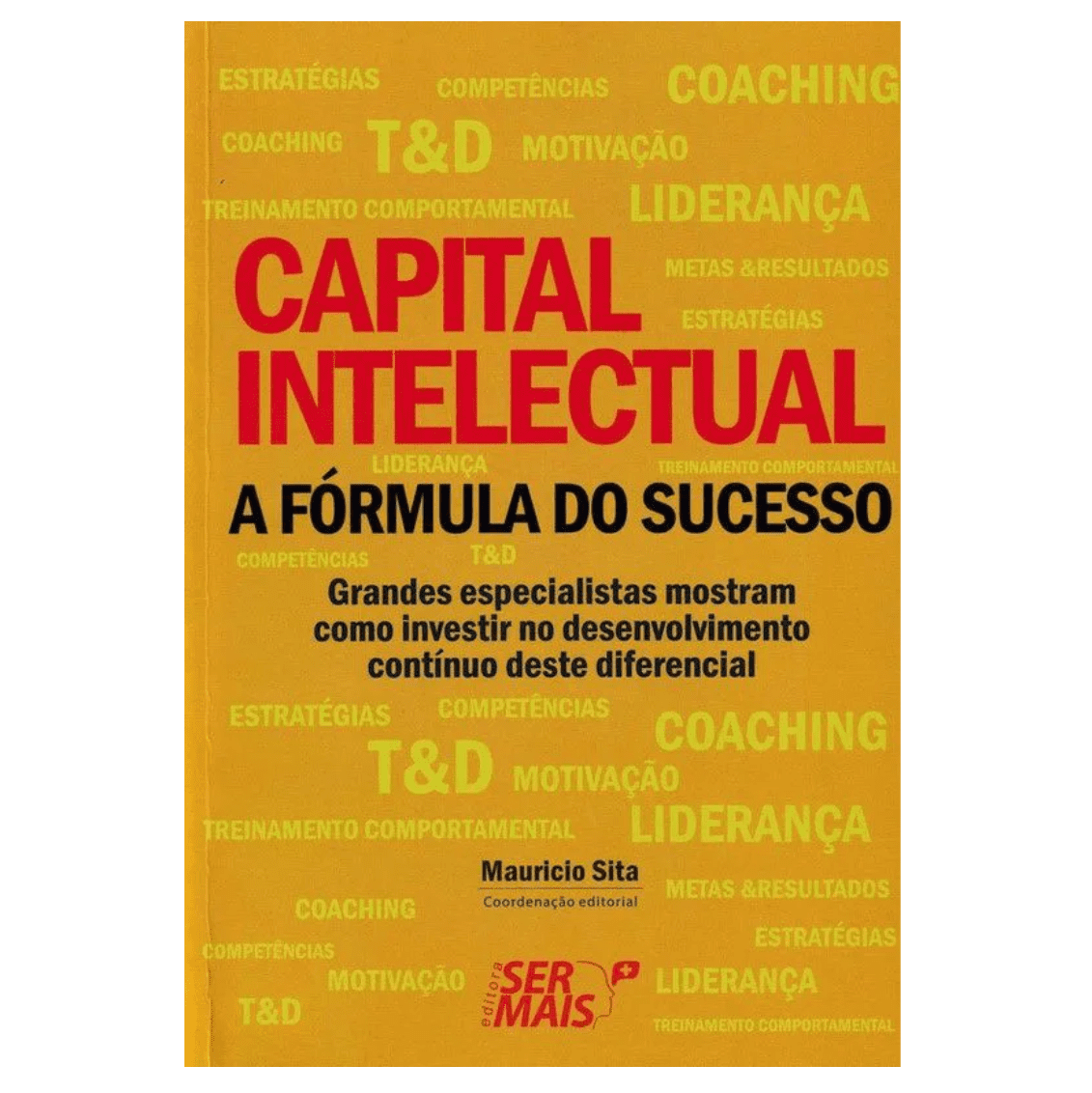 Capital intelectual - A fórmula do sucesso: Grandes especialistas mostram como investir no desenvolvimento contínuo deste diferencial de sucesso