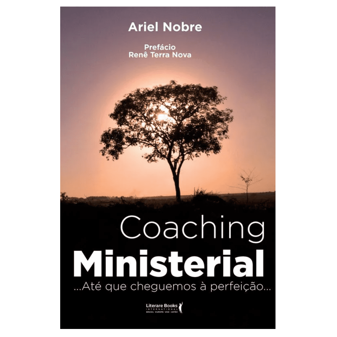 Coaching ministerial: Até que cheguemos à perfeição