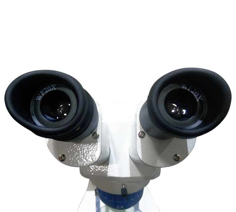 Estereomicroscópio Lupa Binocular Biofocus XT-3L em LED até 80x aumento