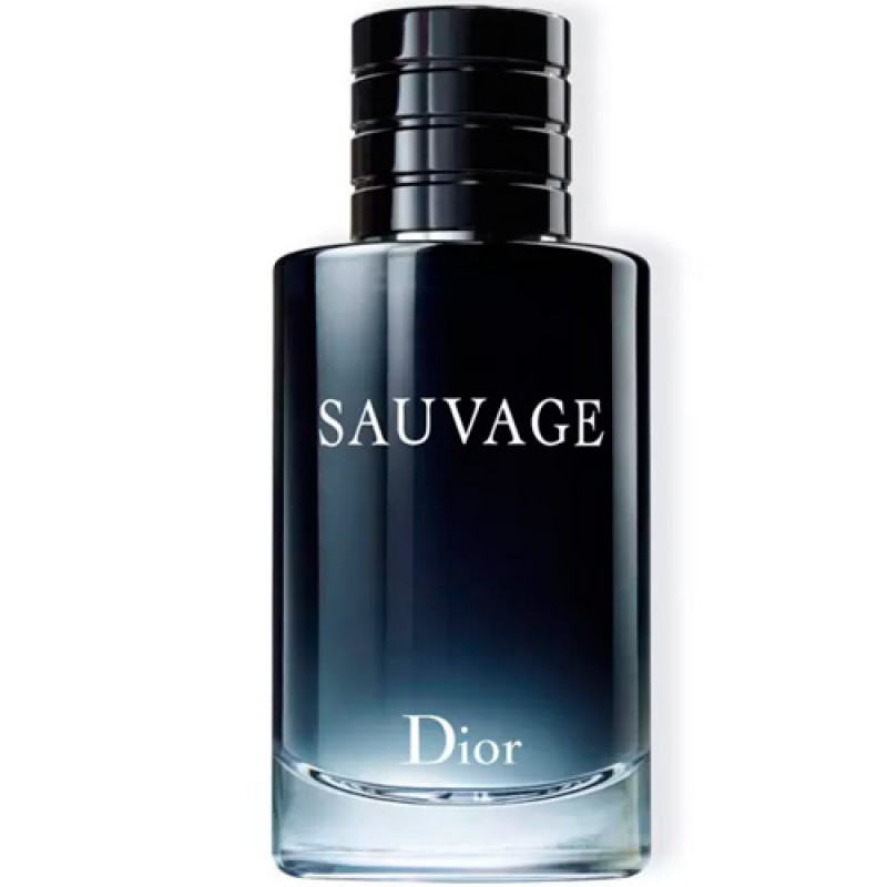Sauvage Dior Eau de Toilette - Perfume Masculino 100ml