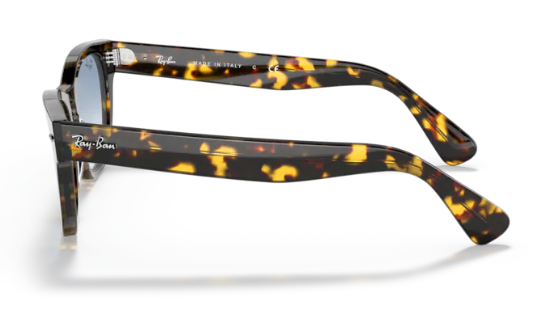 Óculos de Sol Unissex Ray Ban RB2201 Laramie 1332/3F 54