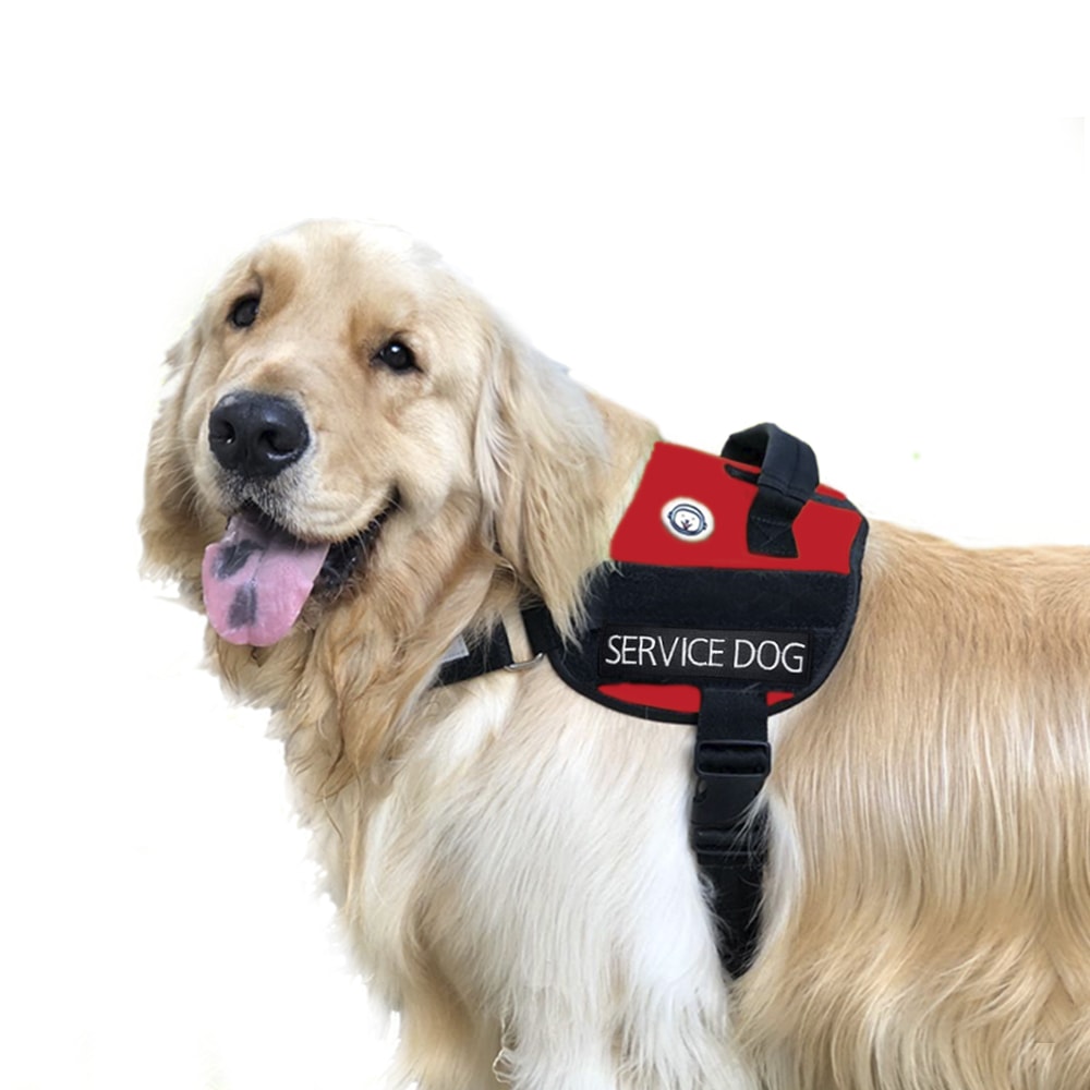 Coleira Peitoral Cão de Serviço - Service Dog - Foto 0