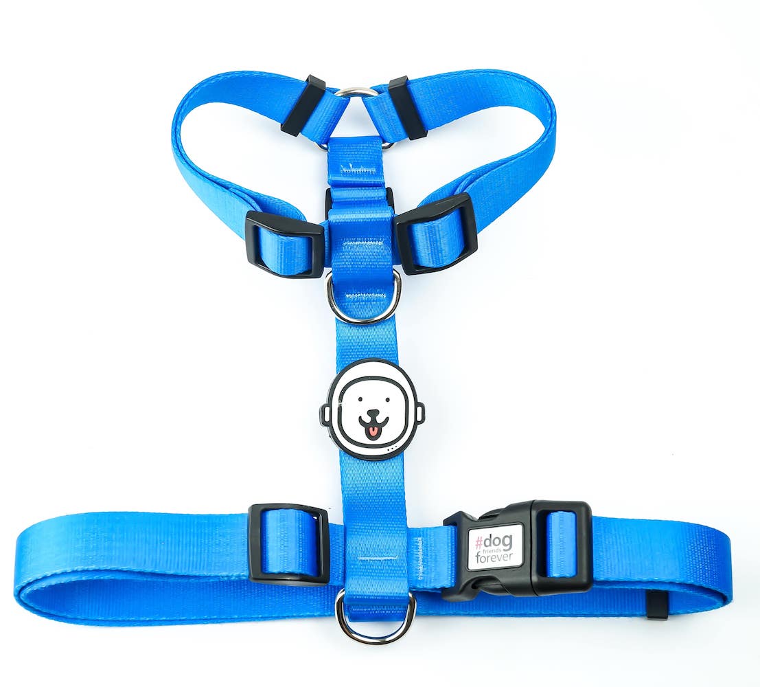 Peitoral H para Cachorro Azul Neon