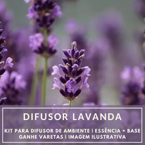 Essencia Lavanda + Base perfume
