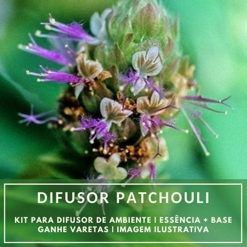 Essência Patchouli + Base Perfume - Ganhe Varetas