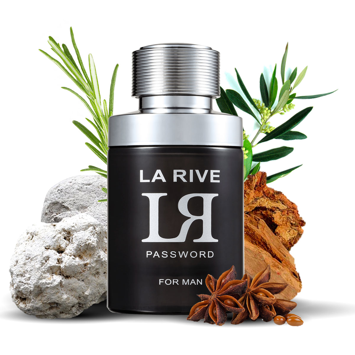 Kit 2 Perfumes, Steel Essence e LR Password La Rive  - Mercari Perfumes
