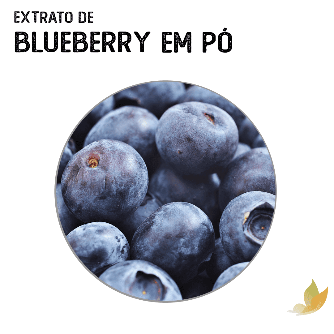 Extrato de Blueberry Em Pó Solúvel 100 g