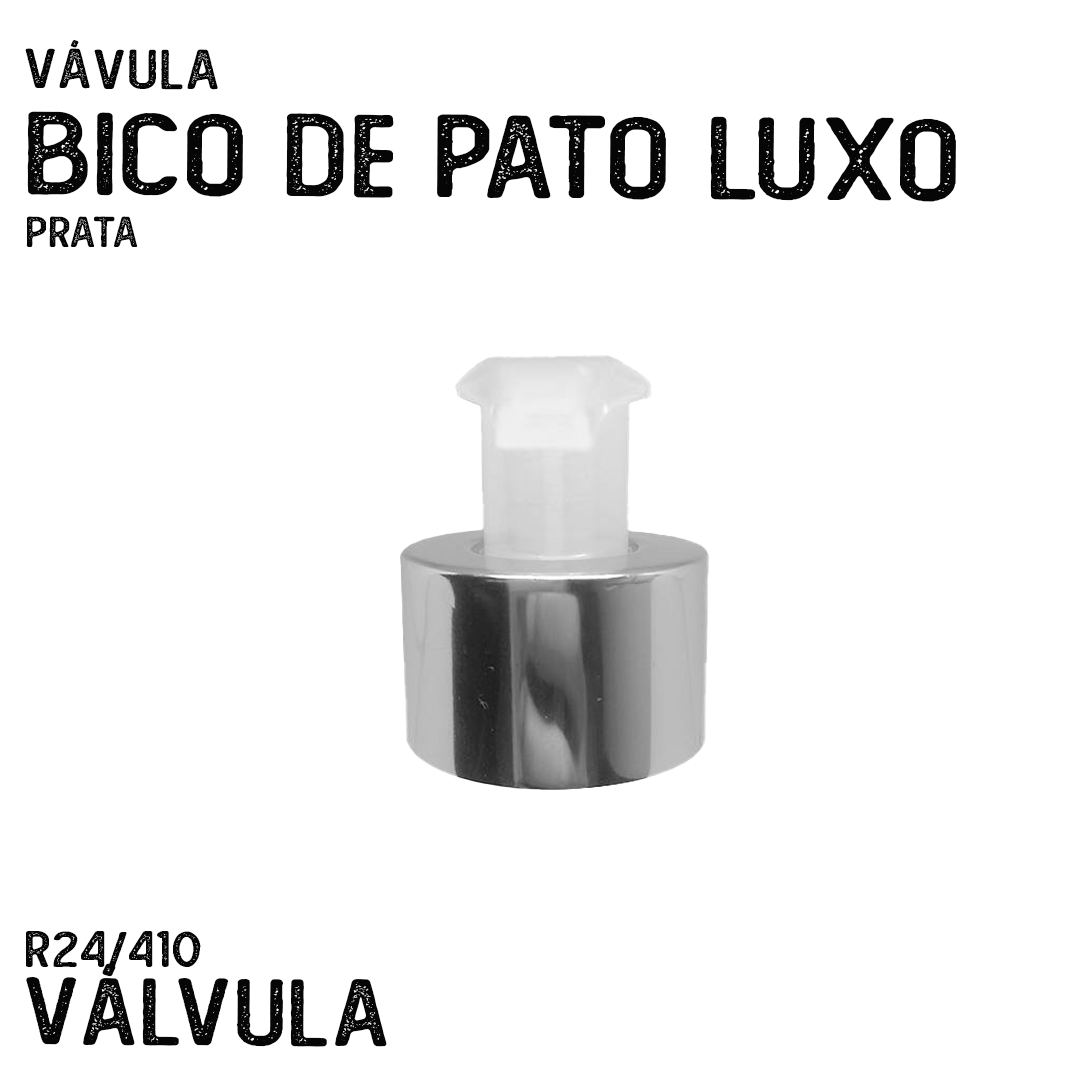 Válvula Bico De Pato R24/410 Luxo Prata