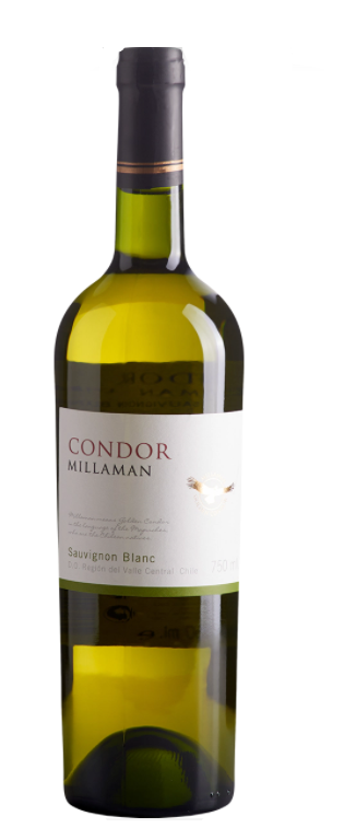 Vinho Condor Millaman Sauvignon Blanc 750ml