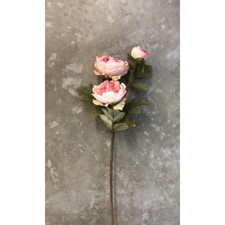 Galho de Peônia - Rosa de 79cm