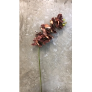 Haste Orquídea Silicone Ferrugem
