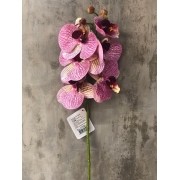 Haste Orquídea Rosa/Vinho