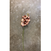 Haste de Orquídea 3d Ferrugem com 6 72cm