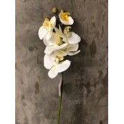 Haste Orquídea 3d com 6 Branca/Amarela