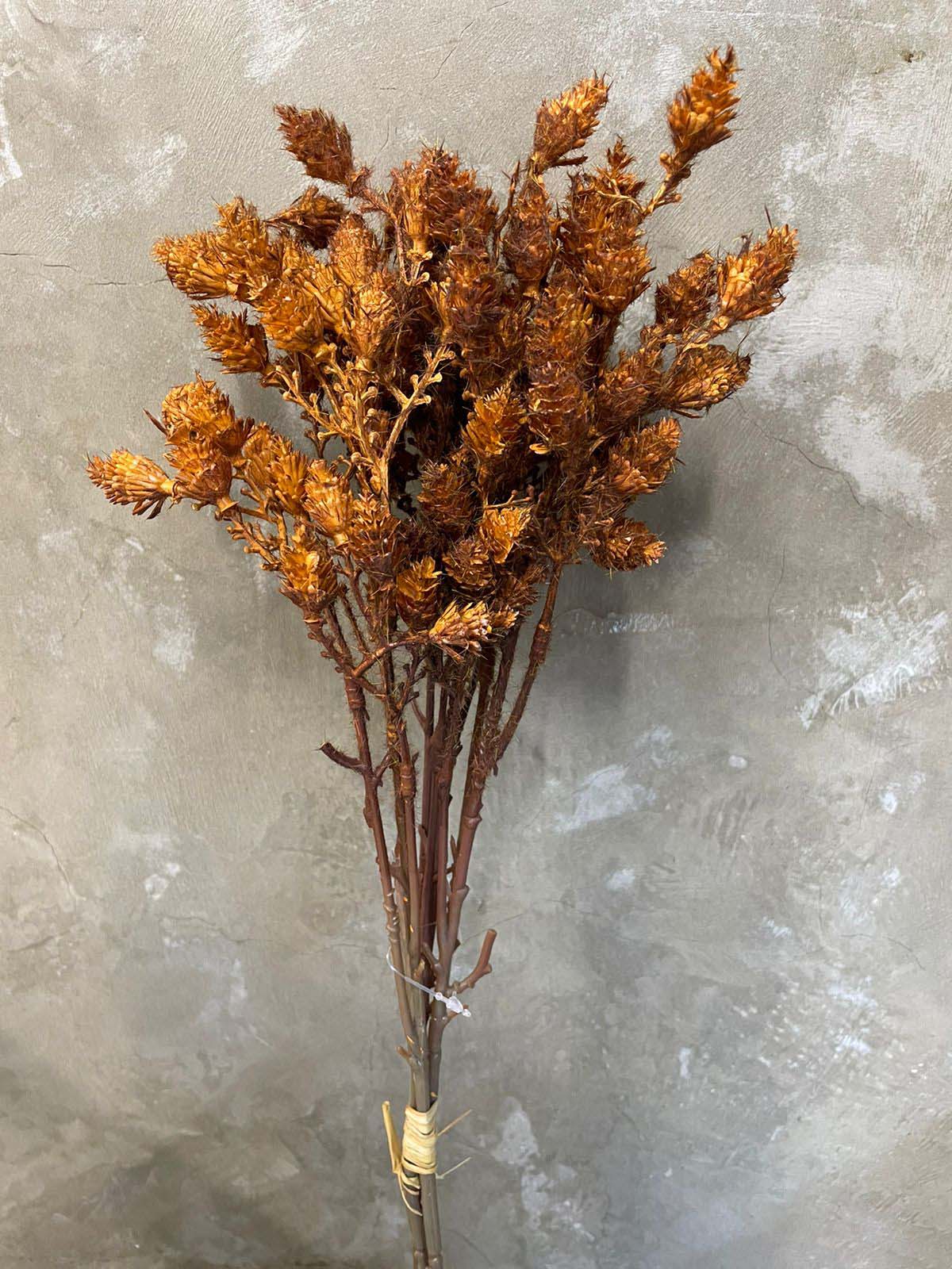 Flores Silvestres - Ferrugem de 42cm