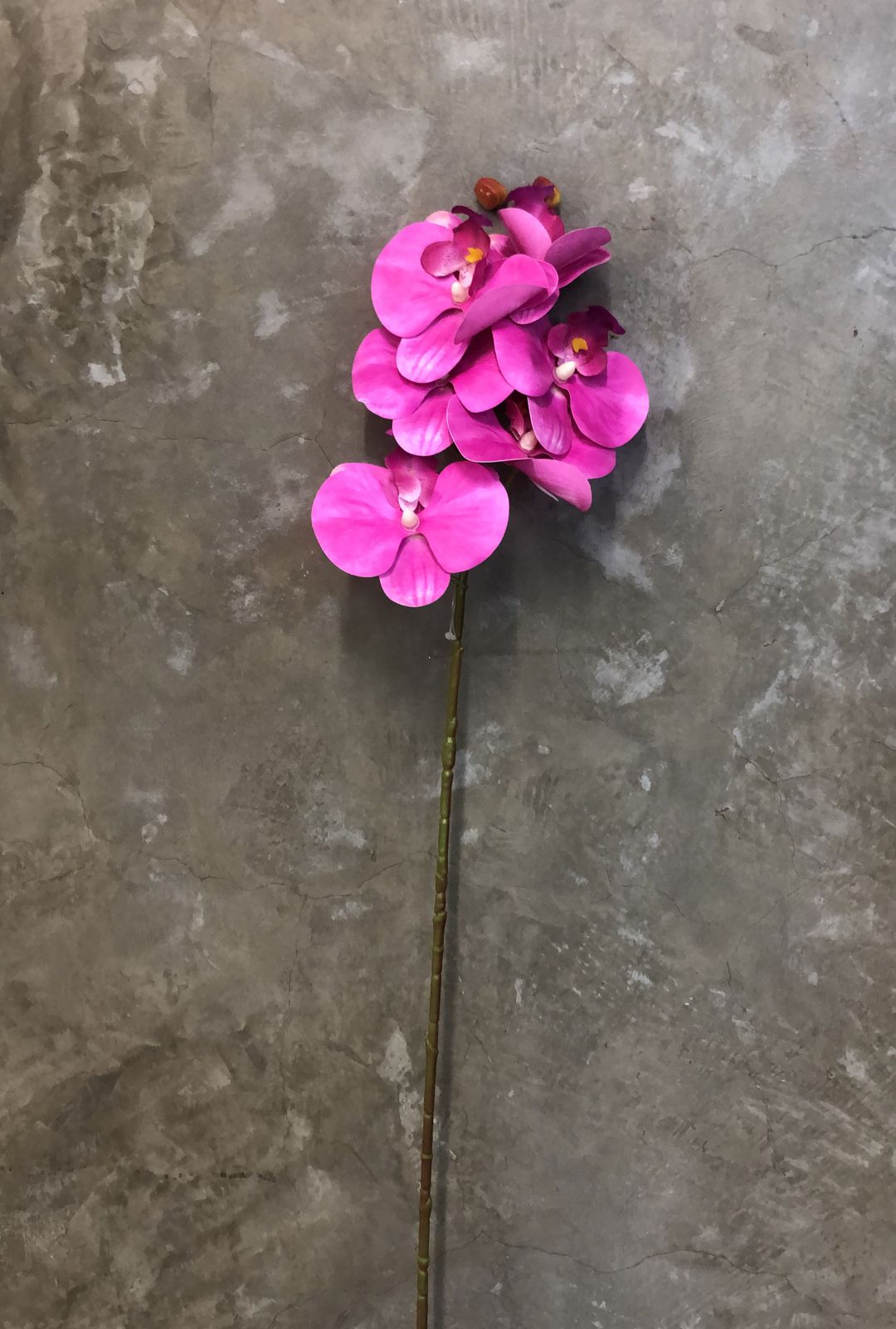 Haste Orquídea Rosa x6