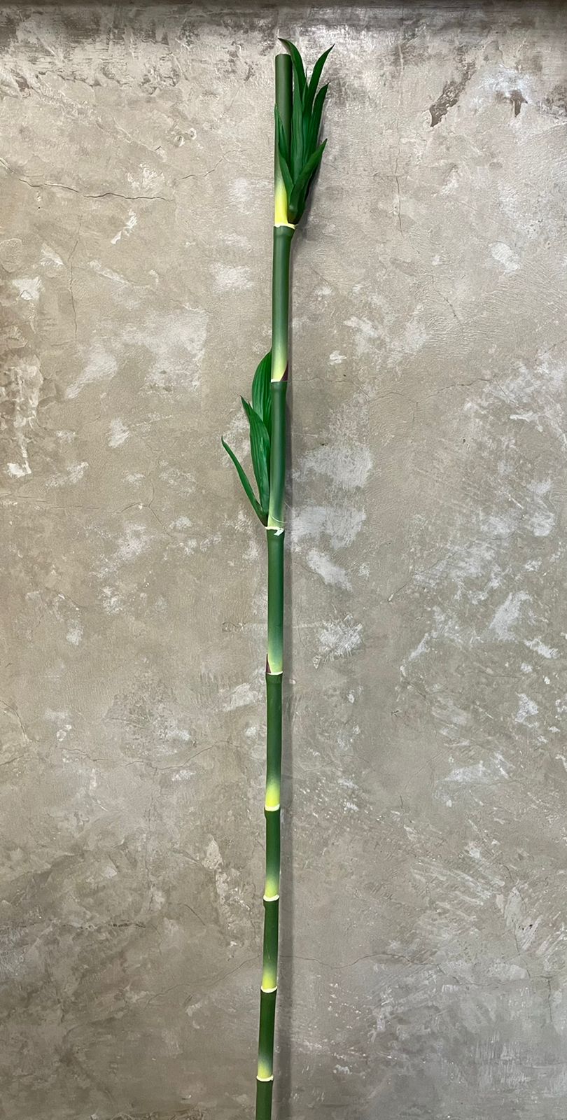 Haste de Bambu de 102cm