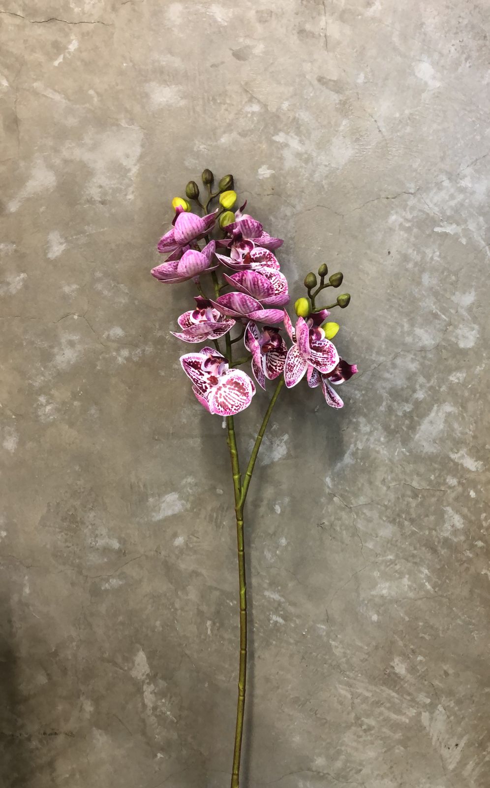 Mini Orquídea Silicone 60cm