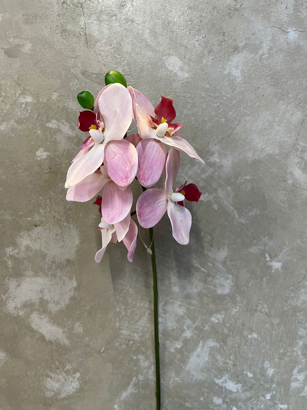 Orquídea de Silicone - Rosa Claro de 37cm