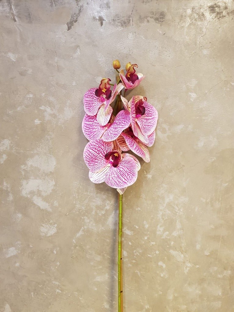 Orquídea Phalaneopsis de Silicone com 6 70cm
