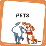 Pets Worksheets and Pastime