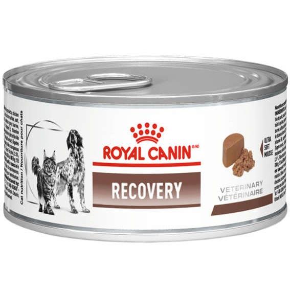 ROYAL CANIN CANINE/FELINE RECOVERY 195GR