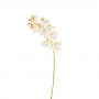 Haste Orquídea Phalaenopsis Branco com Amarelo 3D 76 Cm