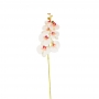 Haste Orquídea Phalaenopsis Branco com Rosa 3D 87 Cm