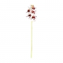 Haste Orquídea Phalaenopsis Branco com Vinho 3D 60 Cm