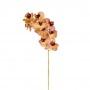 Haste Orquídea Phalaenopsis Salmão 2 Tons 3D 76 Cm