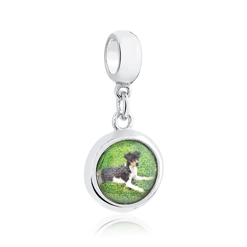 Berloque Medalha Terrier brasileiro