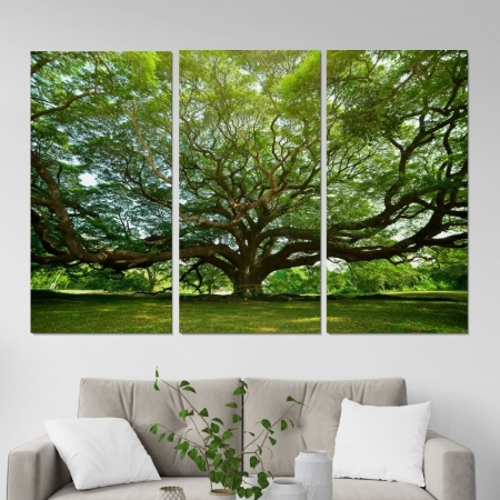 Quadro Decorativo Três Telas - Árvore Grande - 180x120cm